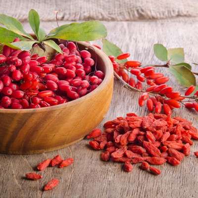 Fresh Organic Goji Natural Dried Goji Berry With OEM Package