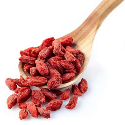 ORGANICS Premium Juicy Large Organic Goji Berries Nutrient Packed Wolfberry Top Grade Lycium Barbarum